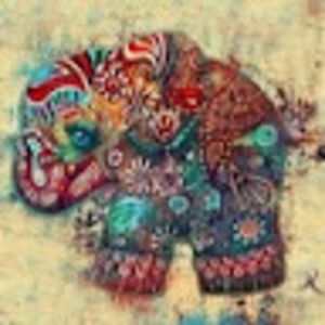 Meet your Posher, Aimee